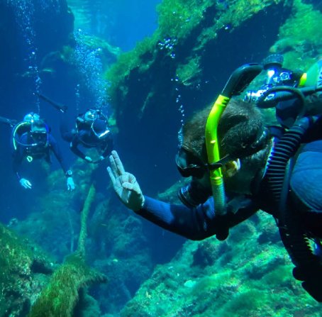 Buceo en las cavernas de mexico, cursos de buceo en los cenotes