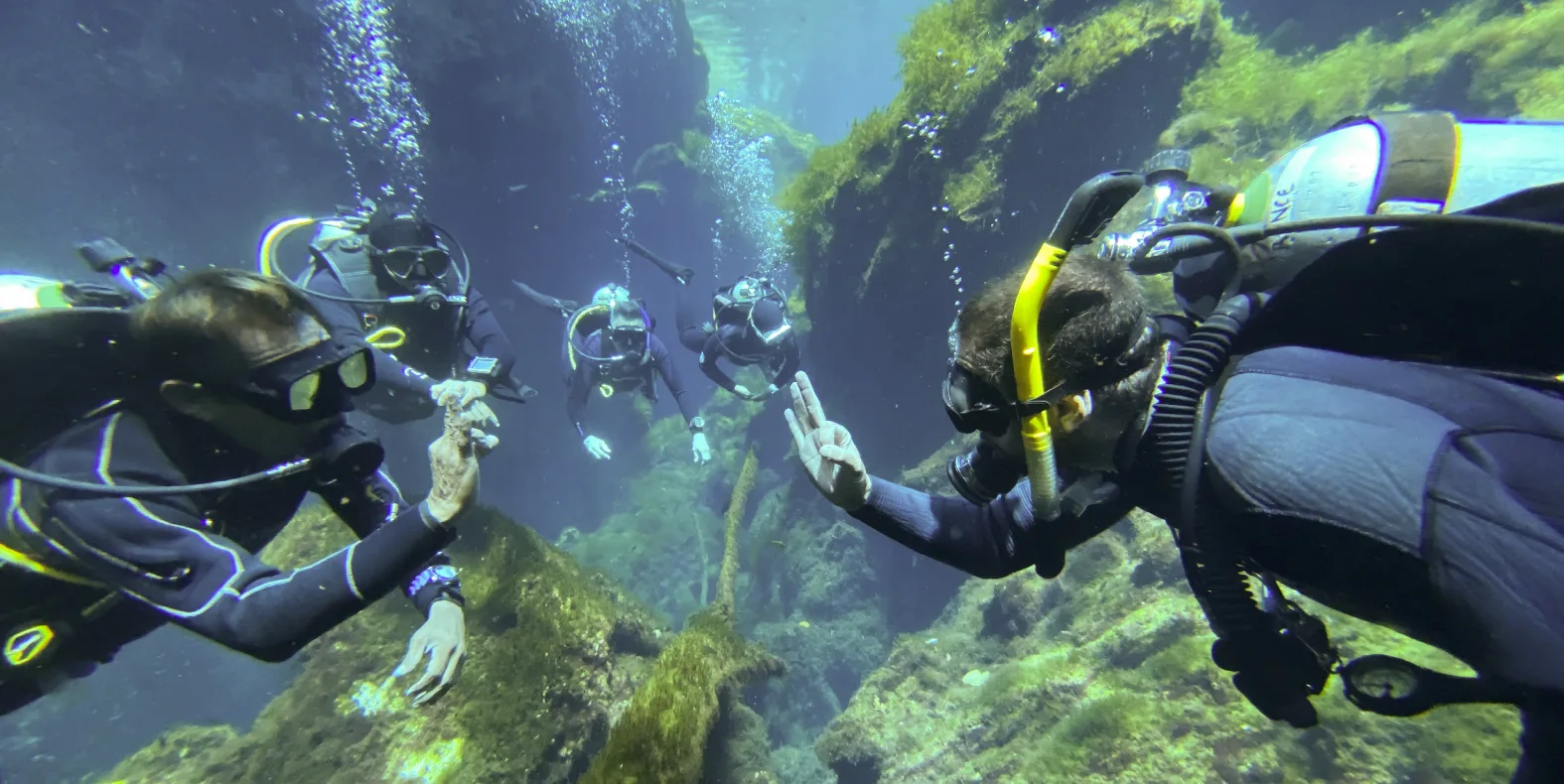 sdi-idc-ape-divers-achademy